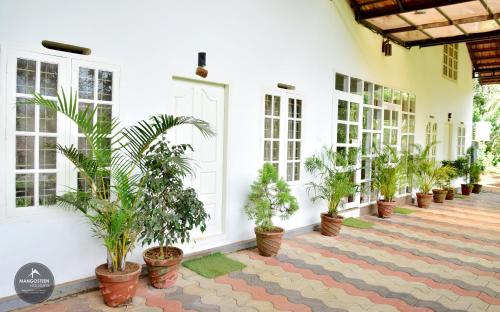 Gallery image of mangosteen holidays in Vythiri