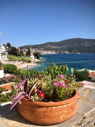a large pot of flowers sitting on a ledge overlooking the water at Afroessa Studios & Apartments in Samos