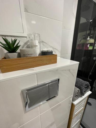 a bathroom shelf with a towel dispenser on a wall at Keskuse apartment with a balcony in Haapsalu