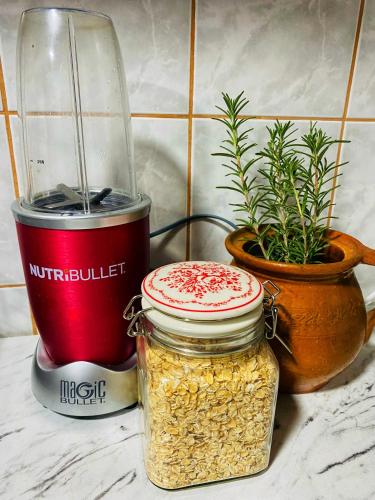 a jar of nuts next to a blender and a plant at Bukovički mir in Arandjelovac