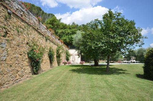 a wall with a tree next to a yard at Favolosa Villa in Toscana in Lucignano