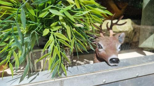 a toy deer is looking out of a window at AirstreamNB in Schayk