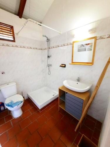 Koupelna v ubytování Villa charmante au cœur du Marin avec piscine privée