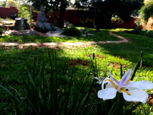 Ein Garten an der Unterkunft Abenteuer für die ganze Familie - Großzügiges Haus im ZenGarden Paraguay