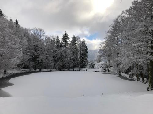 a pond covered in snow with trees in the background at Accomodatie in Villa Werschmatt in Kruth