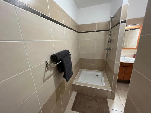 a bathroom with a shower stall and a sink at La Grenad'Île in Saint-Pierre
