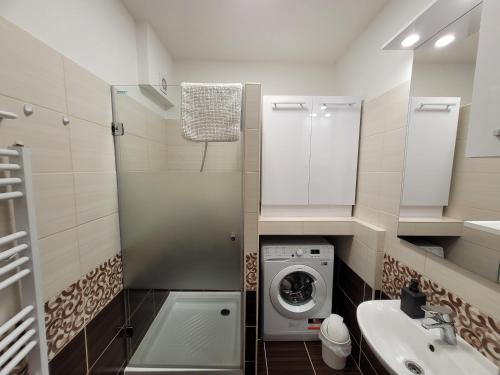 uma casa de banho com uma máquina de lavar roupa e um lavatório em Mátrix apartman em Békéscsaba