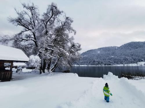 a person walking in the snow next to a tree at Ferienhof Neusacher Moser in Weissensee