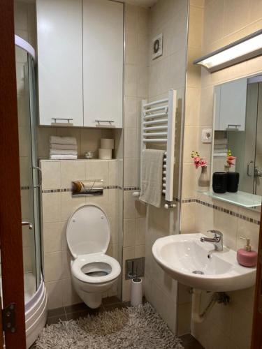 a bathroom with a toilet and a sink at Apartman Bella Novi Beograd in Bežanija