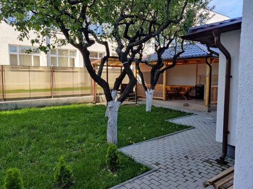 un árbol en medio de un patio en Casa Marina en Călimăneşti