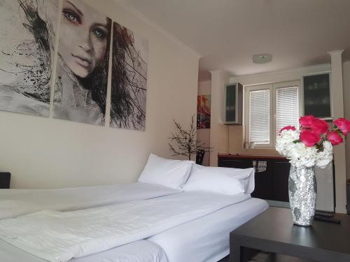 Postel nebo postele na pokoji v ubytování Rajiceva 5- apartman sa prostranom terasom i garaznim mestom