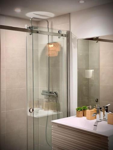 une salle de bain avec une douche en verre et un lavabo dans l'établissement Loft Menorca & Spa 5 étoiles au cœur de Nancy, à Nancy
