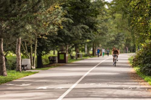a person riding a bike down a road with trees at Hotel Olympic Spa & Wellness in Ustroń