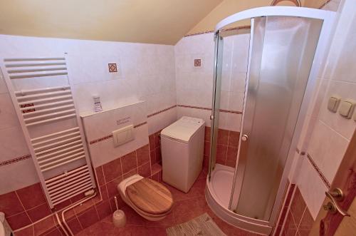 a bathroom with a toilet and a shower at Vila Rhea in Važec