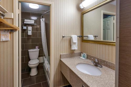 Koupelna v ubytování Quality Inn Toronto Airport