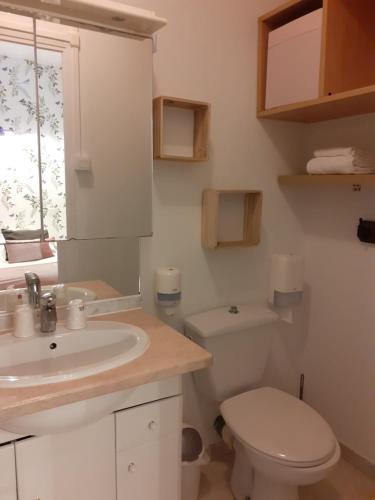 a bathroom with a white toilet and a sink at Ma Campagne - Le Jardin in Auberville