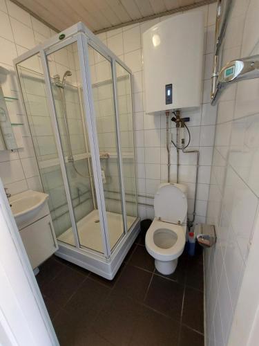 a small bathroom with a toilet and a shower at Toftegården Guesthouse - Apartments & Rooms in Skagen