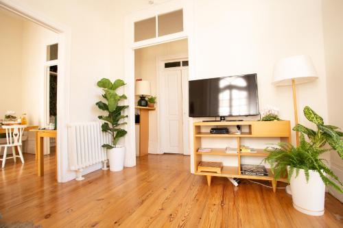 - un salon avec une télévision sur un banc avec des plantes dans l'établissement VisHostel, à Viseu