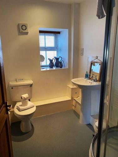 a bathroom with a toilet and a sink at The Cottage, Hill Top Stables in Esh