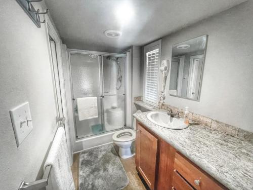 a bathroom with a sink and a toilet and a shower at Magnolia Creek Haus on River Road in New Braunfels