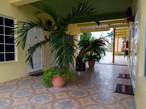 Gallery image of Rumors Resort Hotel in San Ignacio
