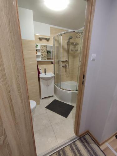 W łazience znajduje się prysznic, toaleta i umywalka. w obiekcie Klimatyczne mieszkanie w Hajnówce