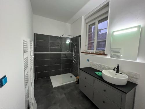 a bathroom with a sink and a mirror and a shower at Le Chalet du RDC in Bagnoles de l'Orne