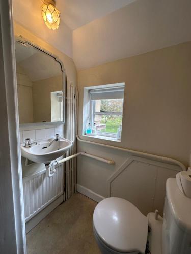 een badkamer met een wastafel, een toilet en een spiegel bij Historic 2 bed gatehouse in private parkland in Brockenhurst