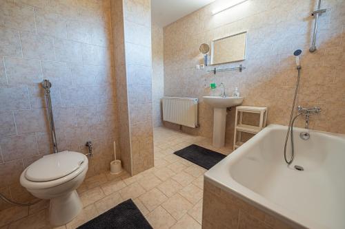 XLSuite Apartment Deluxe tesisinde bir banyo