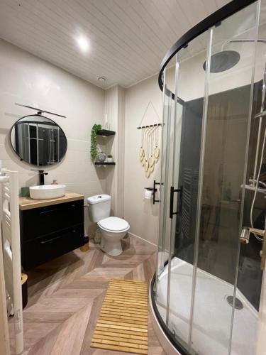 a bathroom with a shower and a toilet and a sink at Joli cocon en hyper centre in Loudéac