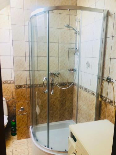 Podkowa Leśna的住宿－Apartament Plumeria w Podkowie Leśnej，浴室里设有玻璃门淋浴