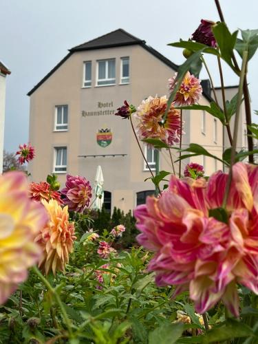 a bunch of flowers in front of a building at Hotel Haunstetter Hof Augsburg in Augsburg