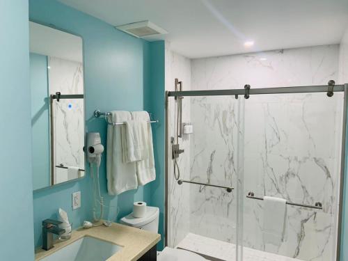 un bagno con doccia, WC e lavandino di The New View Inn a Tortola Island