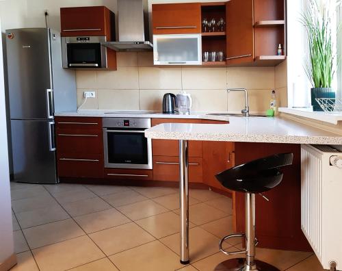 a kitchen with a stainless steel refrigerator and a counter at Apartament Elegant 1 in Przemyśl