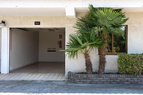 a palm tree in front of a building at Motel Jardin in Oleiros