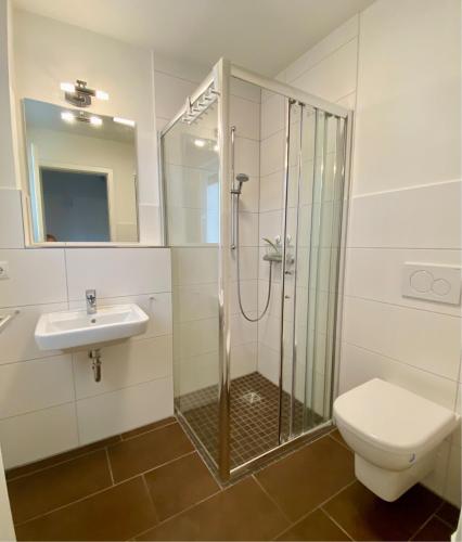 a bathroom with a shower and a toilet and a sink at 1380- Annina 3 in Dahme