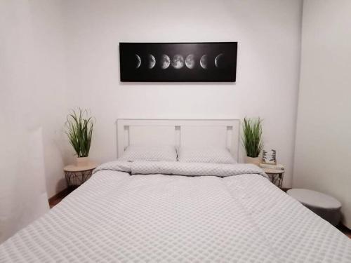 Ένα ή περισσότερα κρεβάτια σε δωμάτιο στο Apartment Sofial