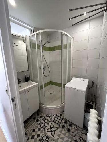 une salle de bain avec une douche, des toilettes et un lavabo dans l'établissement Appartement de standing calme - Paris - Métro 9, à Montreuil
