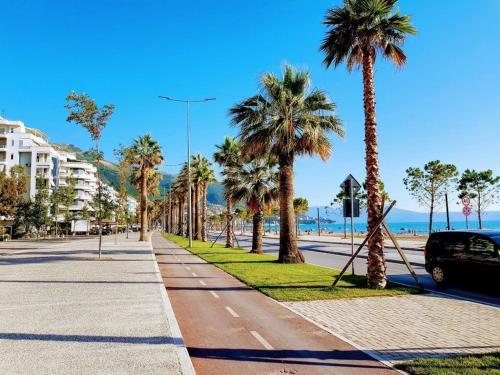 a street with palm trees and a car parked on the road at Lungomare Luxury Sea View Apartaments in Vlorë