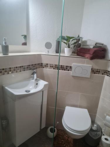 a bathroom with a toilet and a sink at Ferienwohnung ADARO in Schleswig