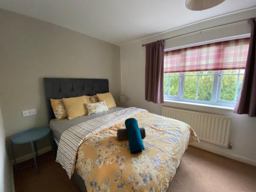 Wellingborough Cosy Hub في Harrowden: غرفة نوم بسرير وكرسي ازرق ونافذة