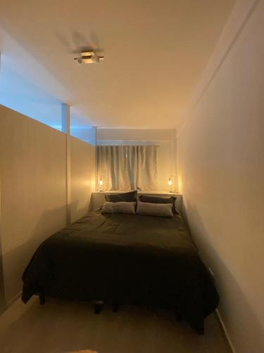 1 dormitorio con 1 cama con 2 almohadas y ventana en Hermoso departamento, muy luminoso en Palermo, Cuidad de Buenos Aires en Buenos Aires
