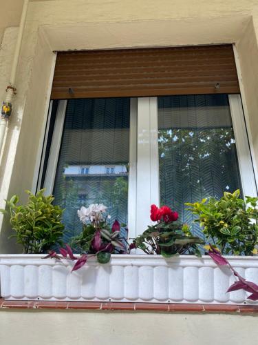 uma janela com flores no parapeito da janela em Rio Deba Gardens em San Sebastián
