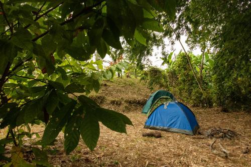 Φωτογραφία από το άλμπουμ του Puerto Quito Lodge σε Puerto Quito