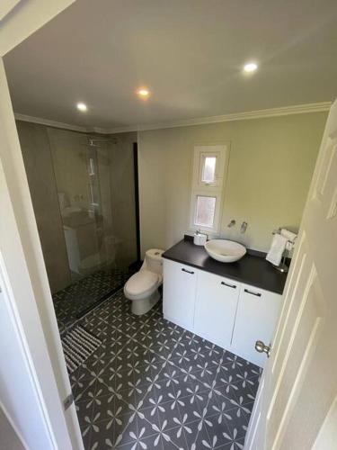 a bathroom with a toilet and a sink and a shower at Moderna casa nueva en hermosa y soleada parcela in La Serena