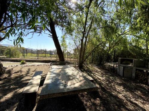 a bench sitting under a tree in a field at Moderna casa nueva en hermosa y soleada parcela in La Serena