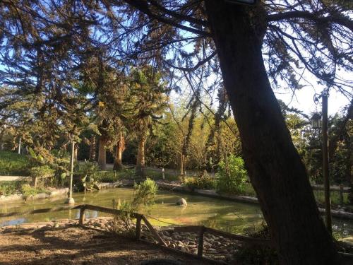 a pond in a park with ducks in the water at Moderna casa nueva en hermosa y soleada parcela in La Serena