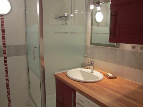 une salle de bain avec un lavabo et une douche en verre dans l'établissement Beau 3 pièces, 8 pers, pied des pistes à Villard-de-Lans - FR-1-689-17, à Villard-de-Lans
