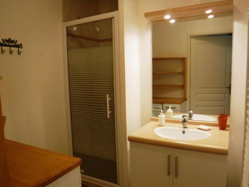 a bathroom with a sink and a shower at Appartement Villard-de-Lans, 3 pièces, 7 personnes - FR-1-689-18 in Villard-de-Lans