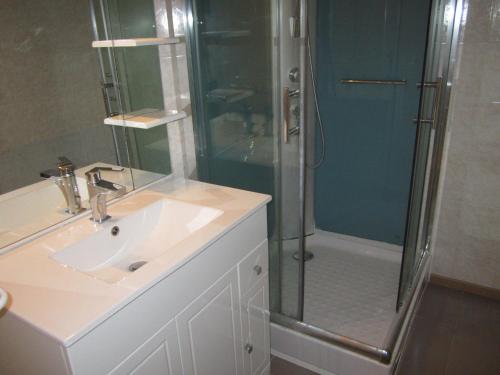 een badkamer met een douche, een wastafel en een douche bij Appartement Villard-de-Lans, 2 pièces, 5 personnes - FR-1-689-31 in Villard-de-Lans